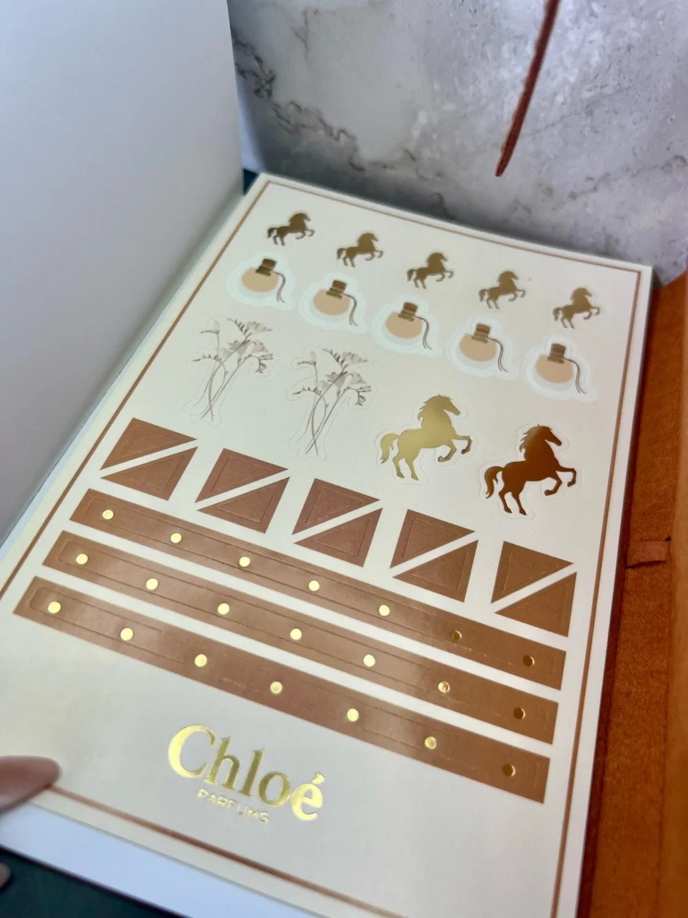 Chloé Nomade Notebook VIP Gift with Studded Strap & Stickers NWT